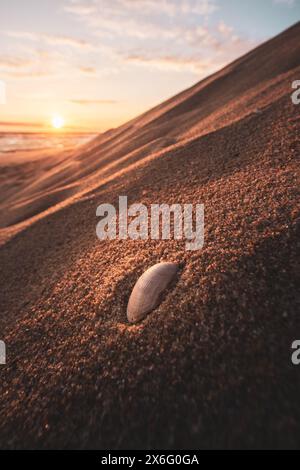 Der ausgedehnte Sandstrand und die goldenen Dünen des Praia da Costa de Santo André liegt inmitten des Naturschutzgebites Praia da Costa de Santo André, Santiago do Cacém, Alentejo am 29.04.2024. // der weitläufige Sandrand und die goldenen Dünen des Praia da Costa de Santo André liegen am 29. April 2024 mitten im Naturschutzgebiet Praia da Costa de Santo André, Santiago do Cacém, Alentejo. - 20240429 PD15173 Credit: APA-PictureDesk/Alamy Live News Stockfoto