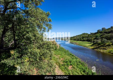 Stausee Retortillo, Naturpark Sierra de Hornachuelos, Provinz Córdoba, Andalusien, Spanien Stockfoto