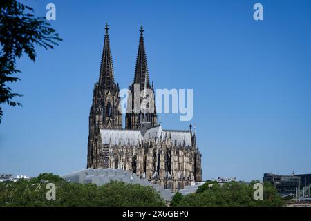 Der imposante kölner Dom thront auf einem Hügel am rheinufer, im Vordergrund versteckt sich das Museum ludwig hinter Bäumen Stockfoto