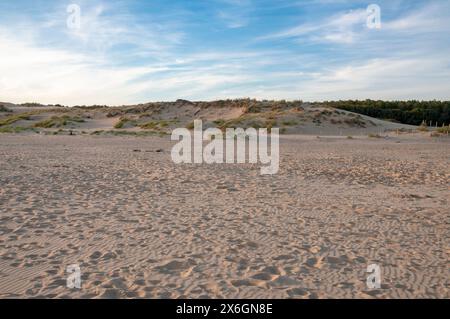 Sanddüne, Strand Le Veillon, Talmont-Saint-Hilaire, Vendee (85), Region Pays de la Loire, Frankreich Stockfoto