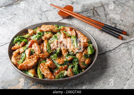 Chinesisches, gebratenes Schweinefilet mit Römersalat, Sesam und Knoblauch in Sojasauce in Nahaufnahme auf einem Teller auf dem Tisch. Horizontal Stockfoto