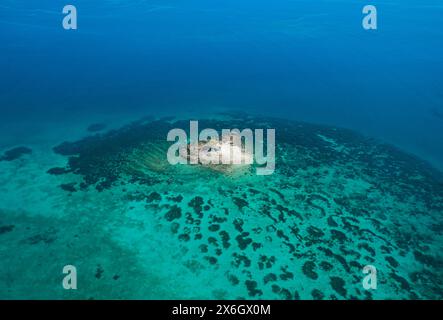 Aus der Vogelperspektive auf eine kleine tropische Insel auf einem Atoll mit wunderschönem Sandstrand umgeben von Korallenriff. Tropische Insel und Korallenriff. Sommer und Stockfoto