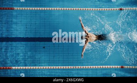 Außenansicht männlicher Schwimmer, der im Swimmingpool schwimmt. Professionelles Athletentraining für die Meisterschaft mit Butterfly-Technik. Aufnahme Von Oben Stockfoto