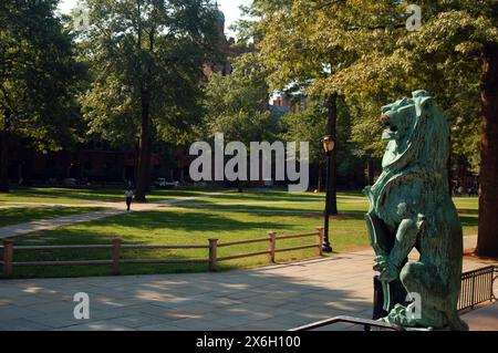 Eine Skulptur eines Löwen blickt über den Hof und Campus der Yale University, einem Ivy League College in New Haven Connecticut Stockfoto