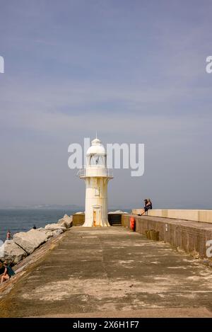 Leuchtturm am Ende der Hafenmauer, Brixham, Devon, England, Großbritannien Stockfoto