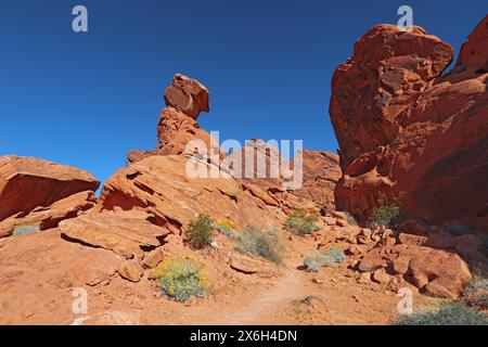Balancing Rock im roten Sandstein im Valley of Fire State Park in der Nähe von Overton, Nevada, mit Sagebrush und Kreosote buch vor einem hellblauen Himmel Stockfoto