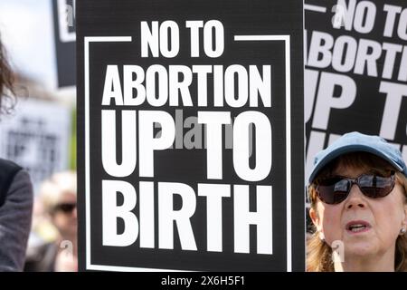 London, Großbritannien. Mai 2024. Abtreibung begrenzt Protest außerhalb der Houses of Parliament Credit: Ian Davidson/Alamy Live News Stockfoto