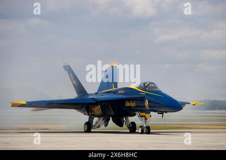 Die Blue Angels treten am 11. Mai 2024 auf der Marine Corps Air Station Cherry Point in North Carolina auf. MCAS Cherry P Stockfoto