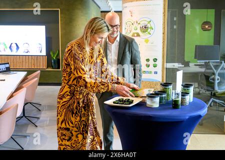 Wageningen, niederlande, 15-05-2024 Königin Maxima bei einem Arbeitsbesuch im FoodValley in Wageningen. Die Organisation Foodvalley leitet Unternehmen, die an der Umstellung auf ein nachhaltiges Lebensmittelsystem beteiligt sind Credit: NLBeeld/Patrick van EMST Stockfoto