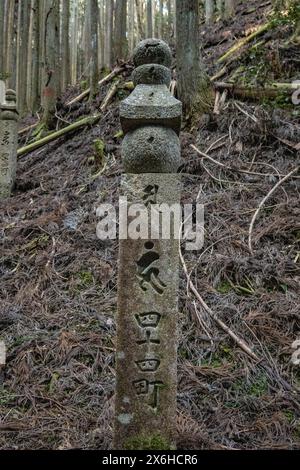 Wald-Jizo-Steinstatue auf der Kumano Kodo Nakahechi Pilgerroute, Nachisan, Wakayama, Japan Stockfoto