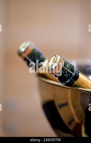 Zwei Champagnerflaschen in einem Metalleimer Stockfoto