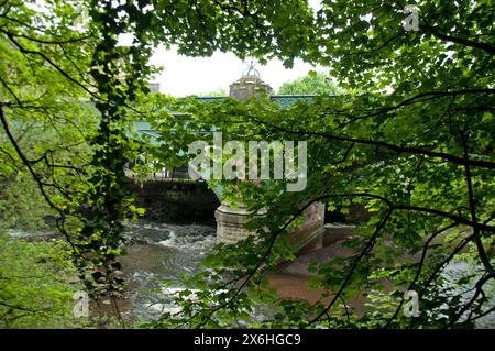 Kelvin Bridge und der Fluss Kelvin, Glasgow, Schottland, Vereinigtes Königreich; Vegetation; ivy; Stromschnellen; Stockfoto