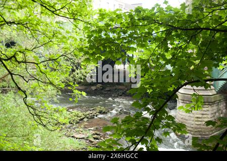 Kelvin Bridge und der Fluss Kelvin, Glasgow, Schottland, Vereinigtes Königreich; Vegetation; ivy; Stromschnellen; Stockfoto