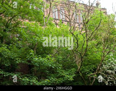 Kelvinbridge Parish Church from the River Kelvin; Glasgow; Schottland, Großbritannien Stockfoto