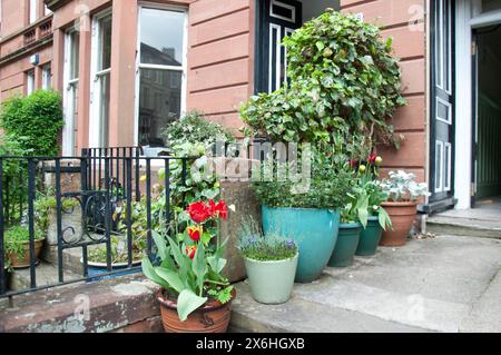 Steinhäuser sind charakteristisch für Wohngebäude in Glasgow – sie sind seit dem 19. Jahrhundert Teil der Stadtstruktur. Mietwohnungen waren zuerst Stockfoto