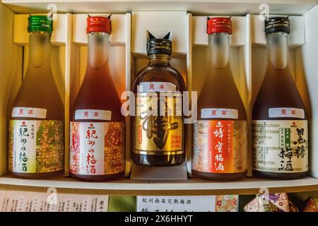 Japanische Sake-Flaschen, Umeshu und Yuzu alkoholische Getränke an der Bar. Osaka, Japan Stockfoto