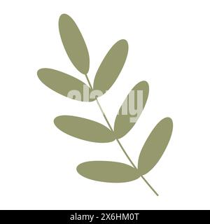 Flacher grüner Palmenzweig, Cartoon-Akazienblätter. Nahaufnahme isolierte Illustration auf weißem Hintergrund. Vector Botany Design Element für Karte, Feder H Stock Vektor