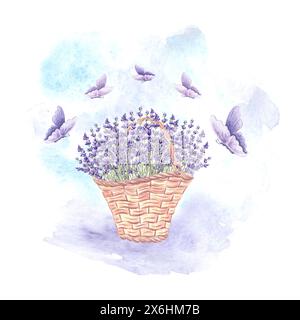 Lavendel und fliegende Schmetterlinge. Blumenstrauß in Vintage-Korb. Handgezeichnete Aquarellillustration der Provence Frühlingsblumen, Kraut. Isolieren Stockfoto