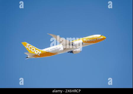 13.05.2024, Berlin, Deutschland, Europa - ein Passagierflugzeug der Scoot Airlines vom Typ Boeing 787-8 Dreamliner mit der Registrierung 9V-OFJ beim Start vom Flughafen Berlin Brandenburg BER. Scoot ist eine Billigfluggesellschaft aus Singapur und eine Tochtergesellschaft der Singapore Airlines. *** 13 05 2024, Berlin, Deutschland, Europa A Scoot Airlines Passagierflugzeug des Musters Boeing 787 8 Dreamliner mit der Registrierung 9V OFJ vom Flughafen Berlin Brandenburg BER Scoot ist eine Billigfluggesellschaft aus Singapur und eine Tochtergesellschaft von Singapore Airlines Stockfoto