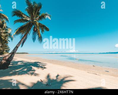 Tropischer Strand mit Kokospalmen und türkisfarbenem Wasser. Tropischer Inselstrand mit weißem Sand, türkisfarbenem Meerwasser und Kokospalmen. Palawan Stockfoto