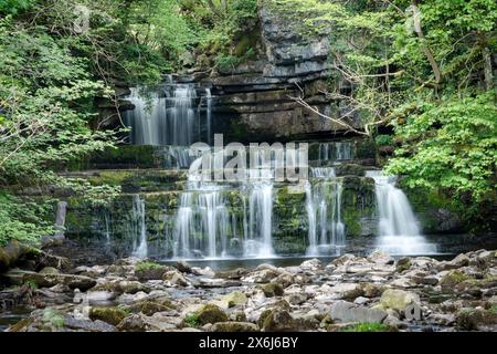 Der Cotter Force Wasserfall bei Hawes in den Yorkshire Dales, eine Süßwasserkaskade. Stockfoto