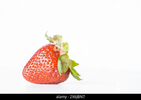 Erdbeere isoliert auf weißem Hintergrund. Beschneidungspfad der Erdbeersammlung Stockfoto