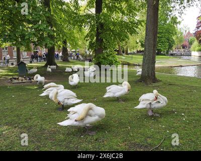 Ein Spaziergang durch Brügge in Belgien Stockfoto