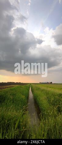 Eine donnernde Dusche über einem schmalen Graben in der niederländischen Landschaft zieht sich während des Sonnenuntergangs weg. Stockfoto