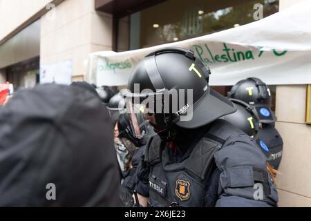 Barcelona, Spanien. Mai 2024. Eine überraschende Aktion im Büro für auswärtige Angelegenheiten der Generalitat endet mit Polizeiangriff, pro-palästinensische Demonstranten protestieren gegen die Zusammenarbeit zwischen Katalonien und Israel in Handelsfragen. Una Acción sorpresa en la oficina de asuntos exteriores de la Generalitat termina en carga policial, los manifestantes pro-palestinos protestan por la colaboración entre Cataluña e Israel en materia comercial. News Politics - Barcelona, Spanien mittwoch, 15. Mai 2024 (Foto: Eric Renom/LaPresse) Credit: LaPresse/Alamy Live News Stockfoto