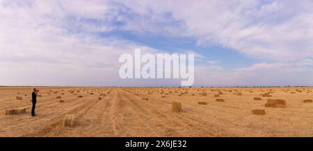 Ein Fotograf fotografiert quadratische Heuballen auf einem Feld. Stockfoto