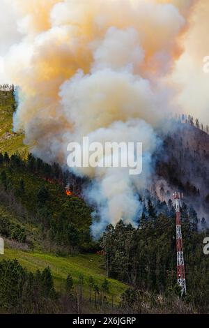 Landschaft in Südafrika, Waldbrand, Feuer, Rauch, Flammen, brennender Wald, Stockfoto