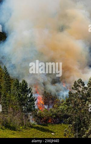 Landschaft in Südafrika, Waldbrand, Feuer, Rauch, Flammen, brennender Wald, Stockfoto