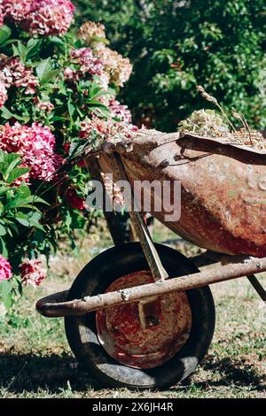 Ein alter Wagen im Garten neben einem rosafarbenen Hortensienstrauch Stockfoto