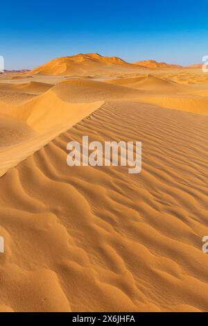 Landschaft im Oman, Oman, Sand, Wüste, Düne, Dünen, Dünenformation, leeres Viertel, RUB al-Chali, Struktur, grösste Wüste der Erde, Stockfoto