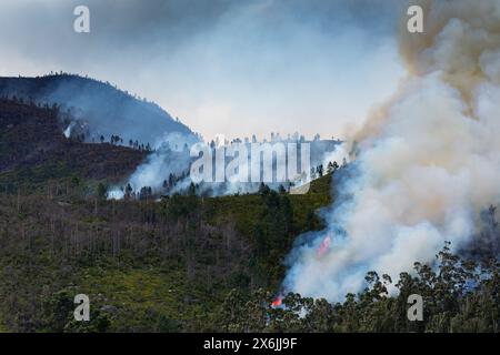 Landschaft in Südafrika, Waldbrand, Feuer, Rauch, Flammen, brennender Wald, Stockfoto