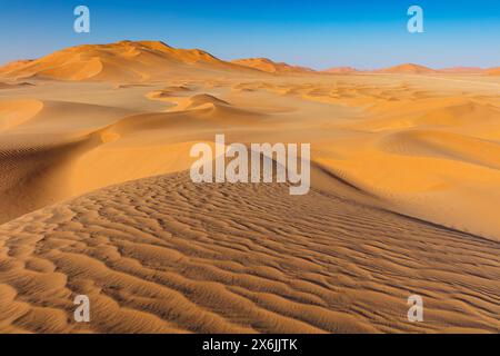 Landschaft im Oman, Oman, Sand, Wüste, Düne, Dünen, Dünenformation, leeres Viertel, RUB al-Chali, Struktur, grösste Wüste der Erde, Stockfoto