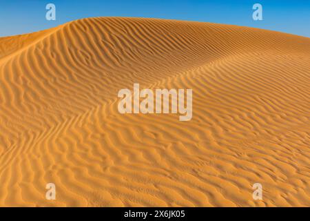 Landschaft im Oman, Oman, Sand, Wüste, Düne, Dünen, Dünenformation, leeres Viertel, RUB al-Chali, Struktur, grösste Wüste der Erde, Stockfoto