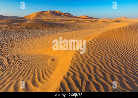 Landschaft im Oman, Oman, Sand, Wüste, Düne, Dünen, Dünenformation, leeres Viertel, RUB al-Chali, Struktur, grösste Wüste der Erde, Stockfoto