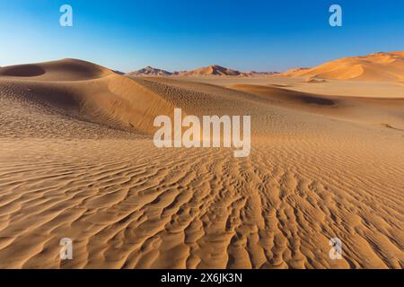 Landschaft im Oman, Oman, Sand, Wüste, Düne, Dünen, Dünenformation, leeres Viertel, RUB al-Chali, Struktur, grösste Wüste der Erde, Stockfoto