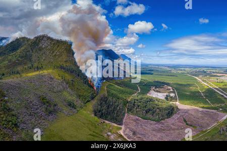 Landschaft in Südafrika, Waldbrand, Feuer, Rauch, Flammen, brennender Wald, Stockfoto