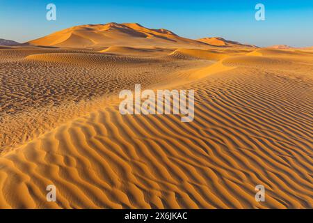 Landschaft im Oman, Oman, Sand, Wüste, Düne, Dünen, Dünenformation, leeres Viertel, RUB al-Chali, Struktur, grösste Wüste der Erde, Stockfoto