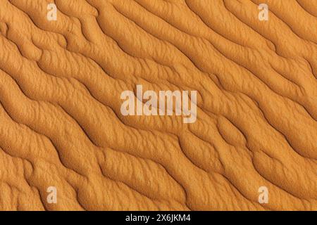 Landschaft im Oman, Oman, Sand, Wüste, Düne, Dünen, Dünenformation, leeres Viertel, RUB al-Chali, Struktur, grösste Wüste der Erde, Stockfoto