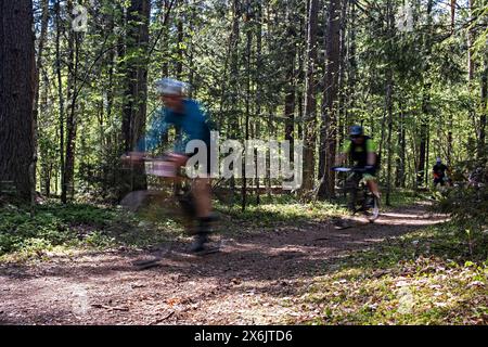 Verschwommenes Bild von Menschen auf Mountainbikes auf Waldwegen während des MTB-Radmarathons in Sigulda, Gauja-Nationalpark, Lettland am 12. Mai 2024 Stockfoto