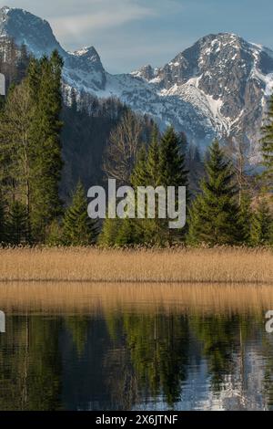 Reflexion der Berge und Bäume in einem ruhigen See mit klarem Himmel. Blick vom Almsee auf das Tote Gebirge. Naturschutzgebiet Almtal Oberösterreich Stockfoto