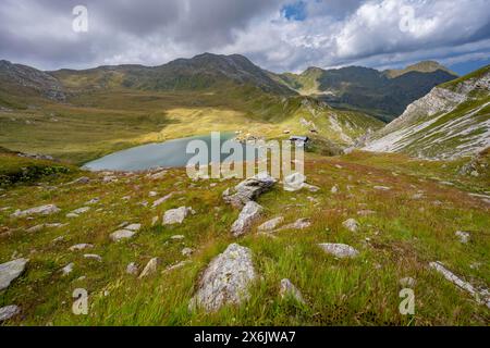 Obstanserseehuette am Obstansersee zwischen grünen Bergwiesen, Karnischen Hauptkamm, Karnischen Höhenweg, Karnischen Alpen Stockfoto