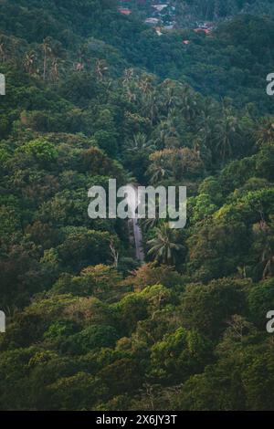 Straße im Wald auf der berühmten Insel und Paradies zum Tauchen Ko Tao in Thailand. Aufgenommen bei Sonnenaufgang aus einem Blickwinkel Stockfoto