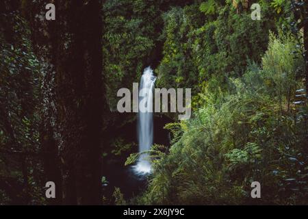 Wasserfall Omanawa Falls in der Nähe von Tauranga, Neuseeland. Tropische Natur umgibt den Wasserfall Stockfoto