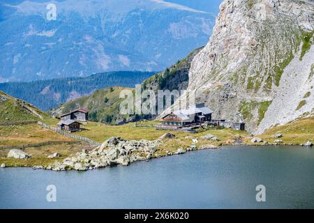 Obstanserseehuette, Obstansersee zwischen grünen Bergwiesen, Karnischer Hauptkamm, Karnischer Höhenweg, Karnische Alpen, Kärnten, Österreich Stockfoto