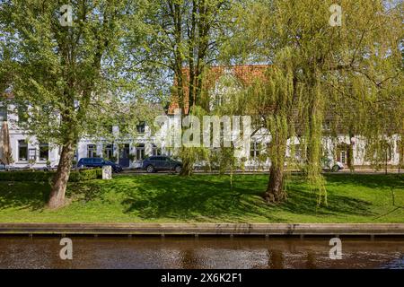 Bäume im Mittelburggraben in Friedrichstadt, Landkreis Nordfriesland, Schleswig-Holstein Stockfoto