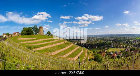 Weingut im Goldenen Wagen. Der Bismarckturm in Radebeul, auch bekannt als Bismarcksäule, ist einer von rund 145 Bismarcktürmen, die noch heute in Radebeul sind Stockfoto